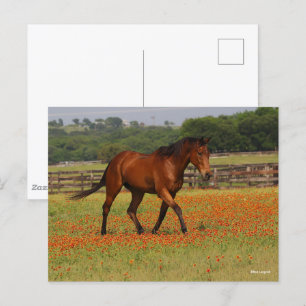 Bay Thoroughbred Horse Walking Flowers Briefkaart