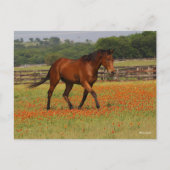 Bay Thoroughbred Horse Walking Flowers Briefkaart (Voorkant)