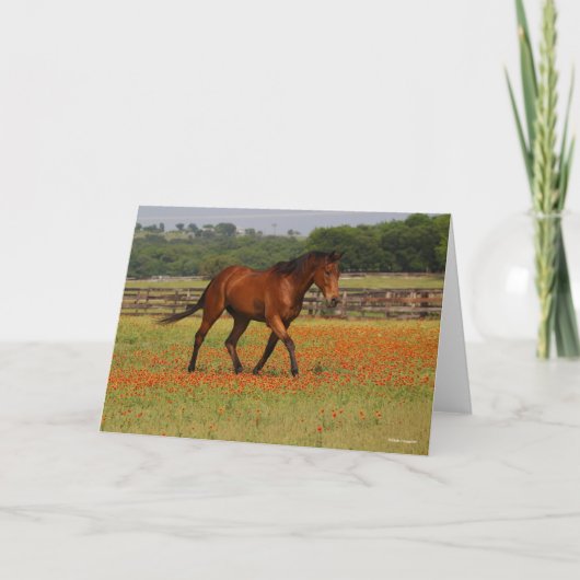 Bay Thoroughbred Horse Walking Flowers Kaart (Voorkant)