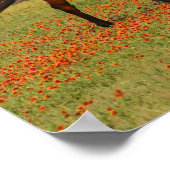Bay Thoroughbred Horse Walking Flowers Poster (Hoek)