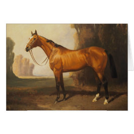Bay Thoroughbred  Painting van James Palmer