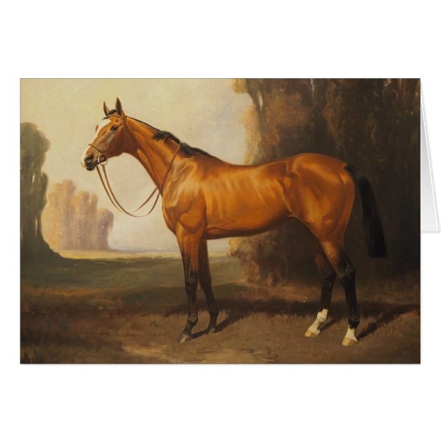 Bay Thoroughbred  Painting van James Palmer (Voorkant Horizontaal)