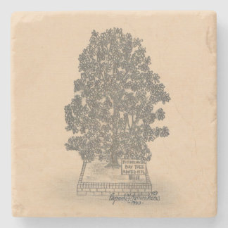 BAY TREE MARBLE STONE ONDERZETTER