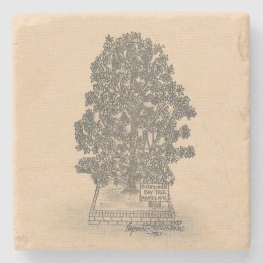 BAY TREE MARBLE STONE ONDERZETTER (Voorkant)