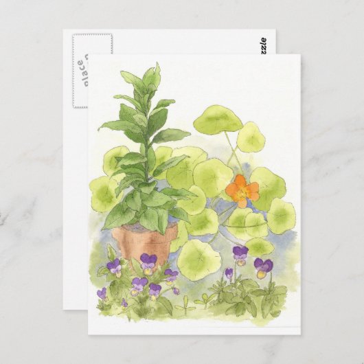 Bay Tree Nasturium Herb Garden Waterverf Briefkaart (Voorkant / Achterkant)