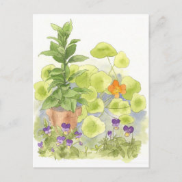 Bay Tree Nasturium Herb Garden Waterverf Briefkaart