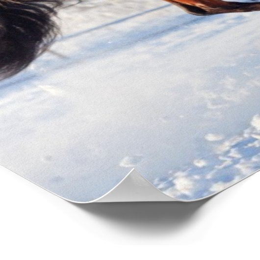 Bay-verkoper Stallion Poster (Hoek)