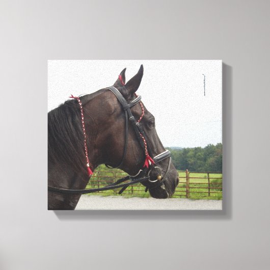 Bay Walker Mare Canvas Afdruk (Voorkant)