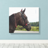 Bay Walker Mare Canvas Afdruk (Insitu (Houten vloer))