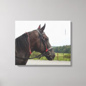 Bay Walker Mare Canvas Afdruk (Voorkant)