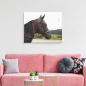 Bay Walker Mare Canvas Afdruk (Insitu (Woonkamer))