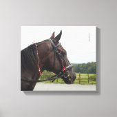 Bay Walker Mare Canvas Afdruk (Voorkant)