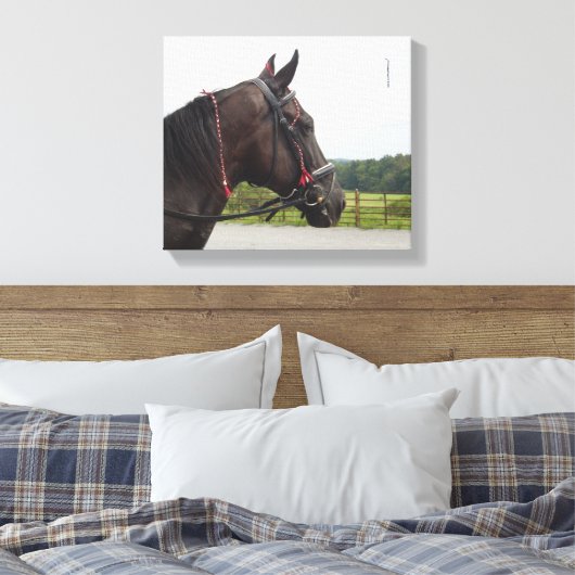Bay Walker Mare Canvas Afdruk (Insitu (Slaapkamer))