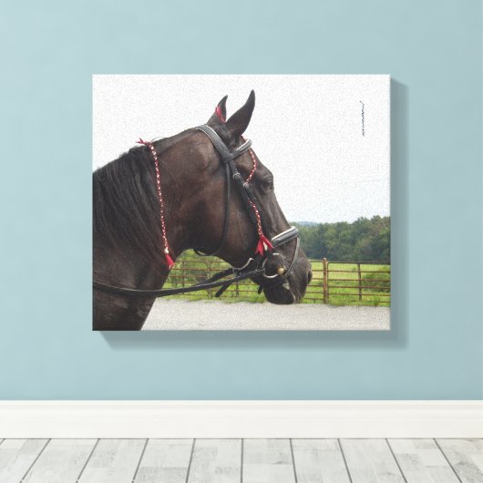 Bay Walker Mare Canvas Afdruk (Insitu (Houten vloer))