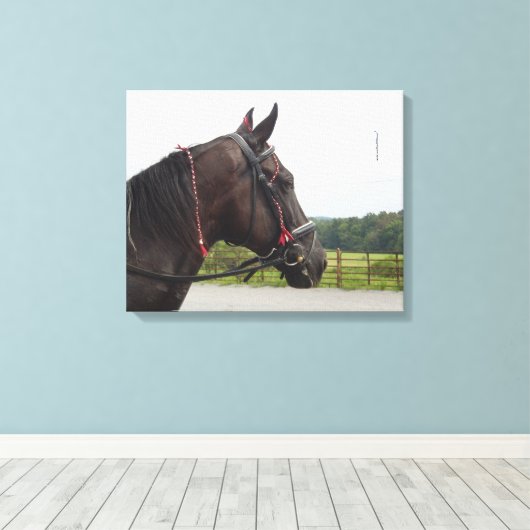Bay Walker Mare Canvas Afdruk (Insitu (Houten vloer))