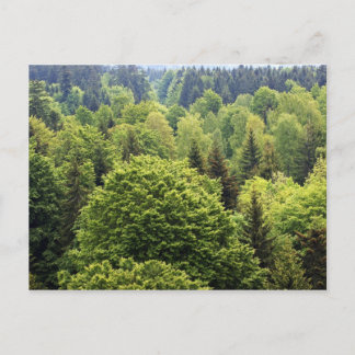 Bayerischer Wald Briefkaart
