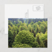 Bayerischer Wald Briefkaart (Voorkant / Achterkant)