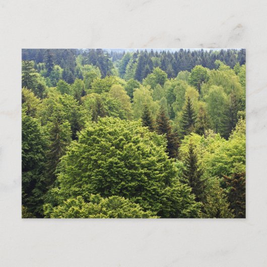 Bayerischer Wald Briefkaart (Voorkant)