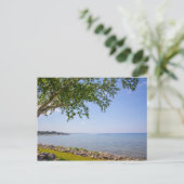 Bayfront Park, Petoskey, Michigan Briefkaart (Staand voorkant)