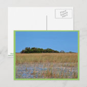 Bayhead in het gras briefkaart (Voorkant / Achterkant)