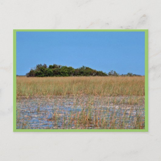 Bayhead in het gras briefkaart (Voorkant)