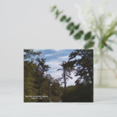 Bayou Batholomew, Tarry, AR Briefkaart (Staand voorkant)