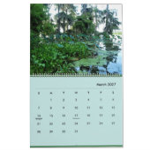 Bayou Life 2024 Kalender (Mar 2027)