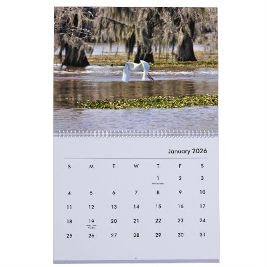 Bayou Life 2024 Kalender (Jan 2026)