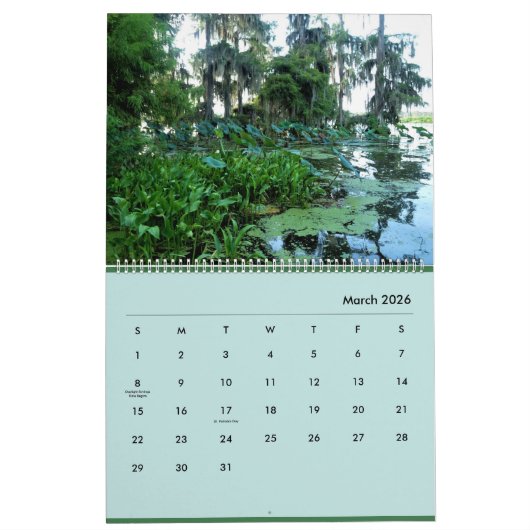 Bayou Life 2024 Kalender (Mar 2026)