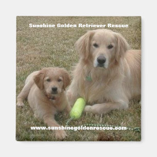 Bayou Magnet - Sunshine Golden Retriever Rescue...