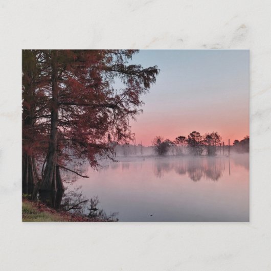 Bayou sunrise briefkaart (Voorkant)