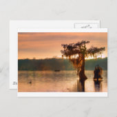 Bayou Sunset 5769 Briefkaart (Voorkant / Achterkant)