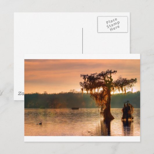 Bayou Sunset 5769 Briefkaart (Voorkant / Achterkant)