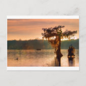 Bayou Sunset 5769 Briefkaart (Voorkant)