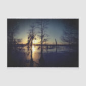 Bayou Sunset | Cypress Trees & Swamp Tissuepapier (Voorkant)