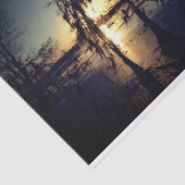 Bayou Sunset | Cypress Trees & Swamp Tissuepapier (Detail)