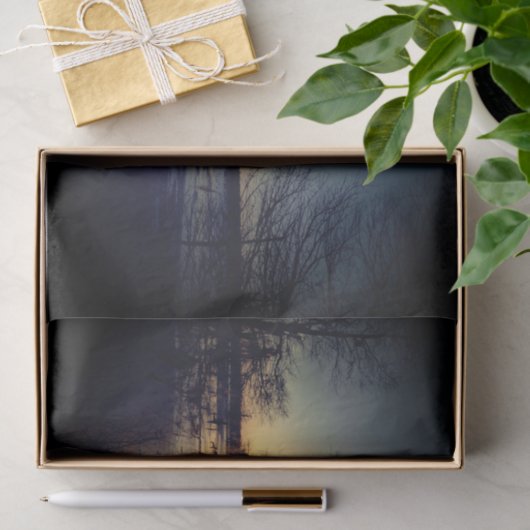 Bayou Sunset | Cypress Trees & Swamp Tissuepapier (Geschenk)