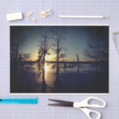 Bayou Sunset | Cypress Trees & Swamp Tissuepapier (Craft)