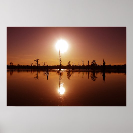 Bayou Sunset Poster (Voorkant)