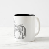 Bays-anatomische mok (Voorkant rechts)