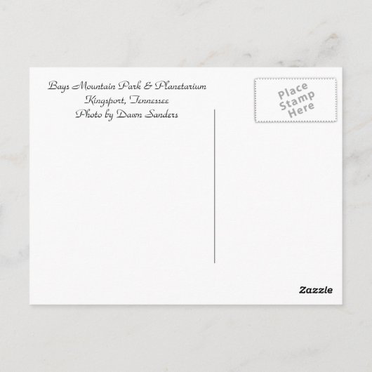 Bays Mountain Dam in de mist Briefkaart (Achterkant)