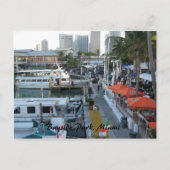 Bayside Park, Miami Briefkaart (Voorkant)
