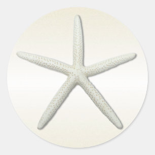 Bayside Single Starfish Champagne Round Ronde Sticker
