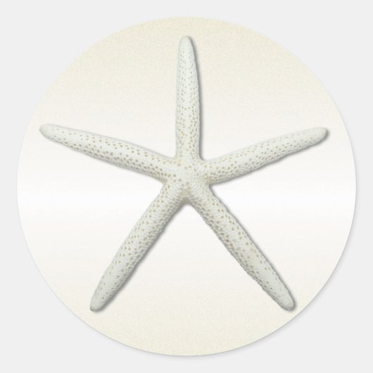 Bayside Single Starfish Champagne Round Ronde Sticker (Voorkant)