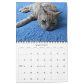 Bazz 12 maanden 2025 gepersonaliseerde kalender (Mar 2027)