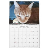 Bazz 12 maanden 2025 gepersonaliseerde kalender (Jan 2027)