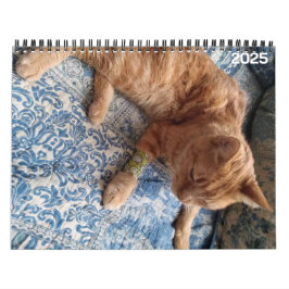 Bazz 12 maanden 2025 gepersonaliseerde kalender