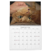 Bazz 12 maanden 2025 gepersonaliseerde kalender (Feb 2026)