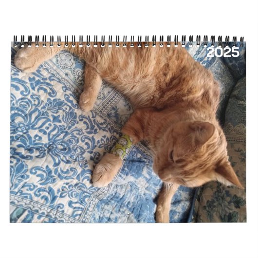 Bazz 12 maanden 2025 gepersonaliseerde kalender (Hoes)