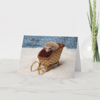 BB238777, MerryChristmas! Feestdagen Kaart